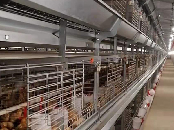 breeding cage