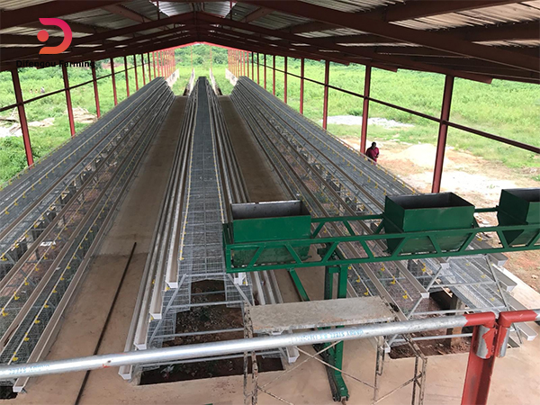 Gantry feeding machine