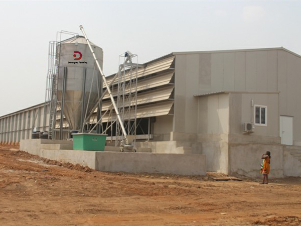 Difengou Machinery Customer farmsite