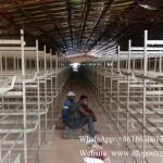 H type broiler battery cage