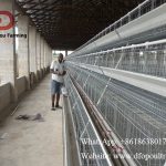 Point of laying hens cage