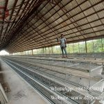 Nigeria poultry farmhouse