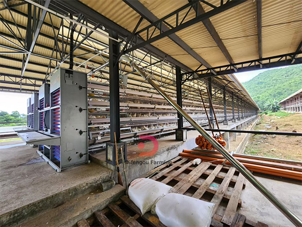Difengou Machinery: A-Type Poultry Battery Cages for 10,000 Layers in Zambia
